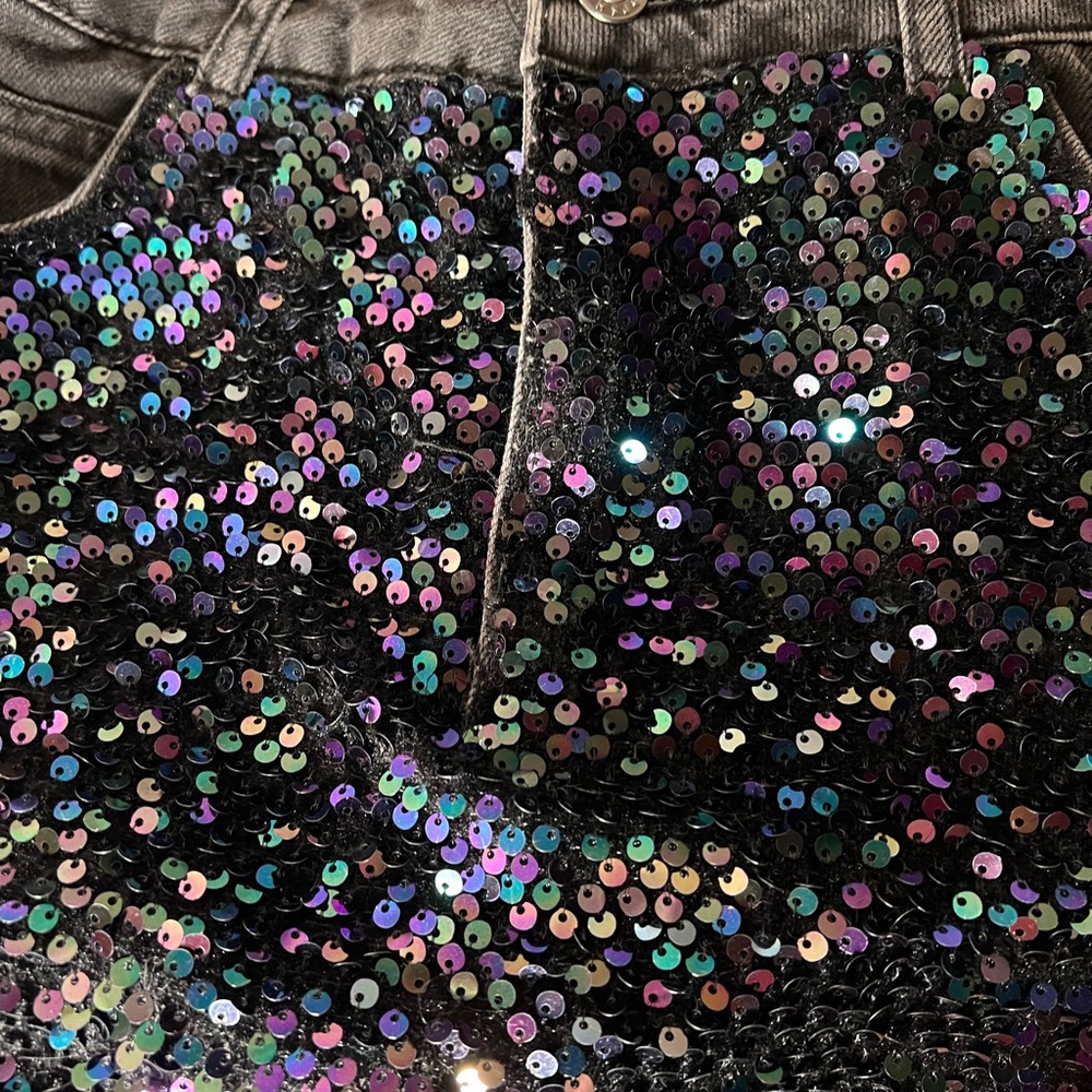 Sequin Embellished Skirt